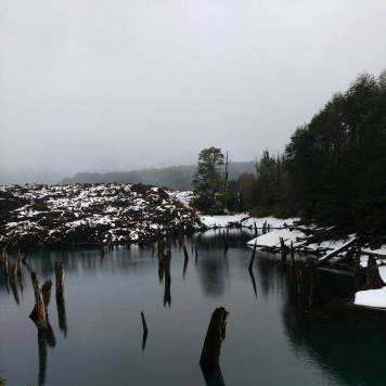 Tour Conguillío & Termas